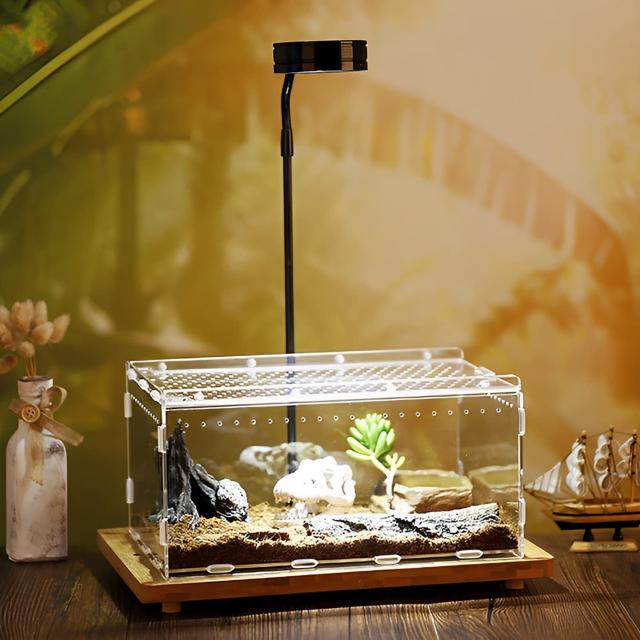 爬虫類飼育　クリアアクリルケージ 30×20×15 3個セット 爬虫類 ケージ 30 × 20 × 15 CMレプタイルボックス換気 アクリル素材