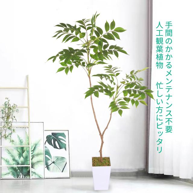 人工観葉植物 フェイクグリーン 人工植物 観葉樹 インテリアグリーン おしゃれ オフィス 室内 装飾 観葉植物 フェイク植物 人工木 大型 人工観葉植物 モンステラ フェイクグリーン 高さ180cm 観葉植物 フェイク 大型 人工