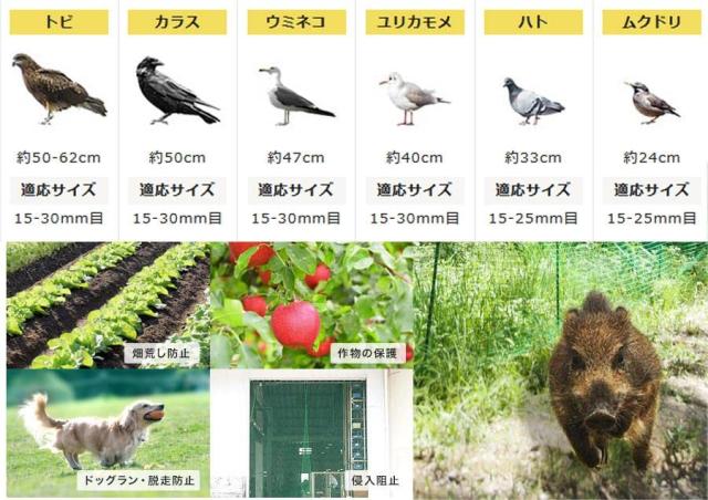 Kapler 防鳥ネット グリーンネット 養生ネット 防獣ネット 多目的ネット 鳥よけネット 飛散防止ネット 園芸ネット 10X10mの通販は