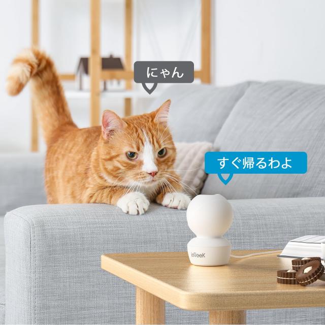 【5Gwifi対応・最新800万画素】ペットカメラ iphone対応 Amazon.co.jp: 【5Gwifi対応・最新800万画素】ペットカメラ