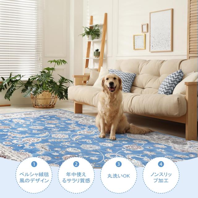 HAOCOO ラグ 夏用 カーペット 約1畳 ペルシャ絨毯風 洗える 120х160cm