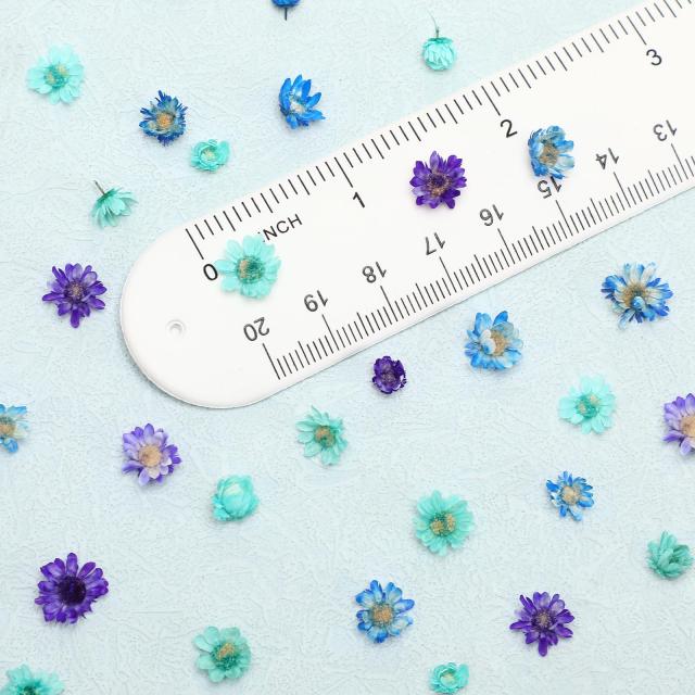Neiang ドライフラワー レジン用 400個入り 押し花 乾燥シート レジン 