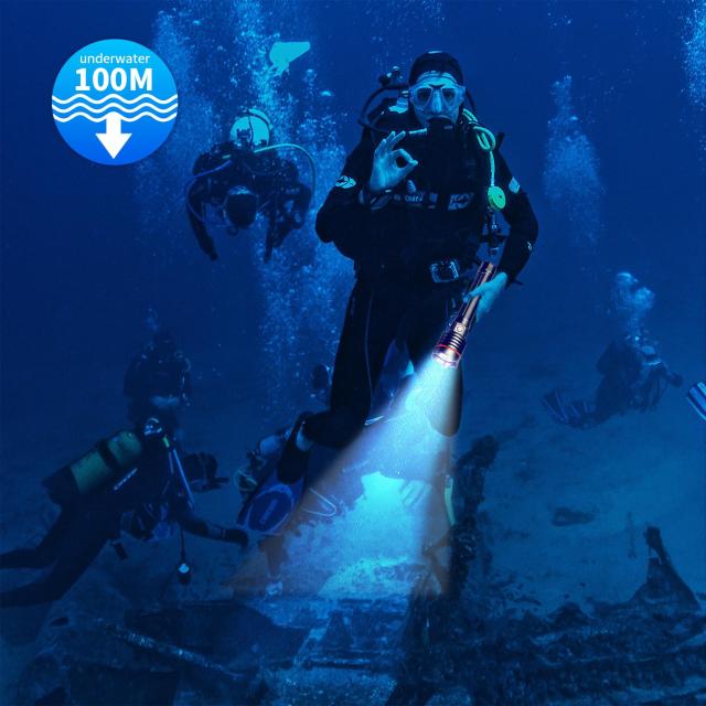 ダイビングライト、LetonPower 5000 Lumens 水中ライト,100mスキューバ ライト, タイプC充電 ダイビング 水中ライト、スポットライトロン ダイビングライト、LetonPower 5000 Lumens 水中ライト,100mスキューバ