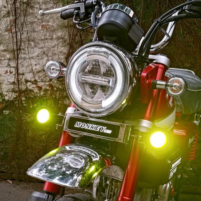 モンキー125ロゴLEDライト 対応車種 ホンダ モンキー 125 Monkey