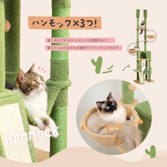 PETEPELA(ぺテぺラ)キャットタワー 突っ張り 205~255cmグリーン Amazon