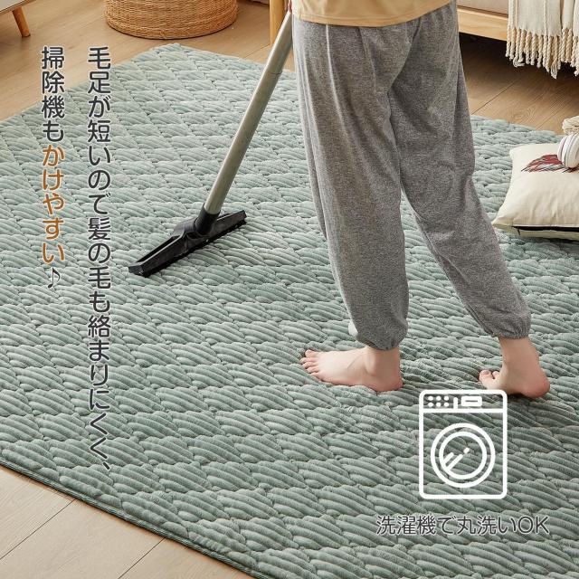 ラグ カーペット 両面 低反発 全厚約25mm ラグマット 洗える 防音 REDREAM ラグ カーペット 両面 低反発 全厚約25mm ラグマット
