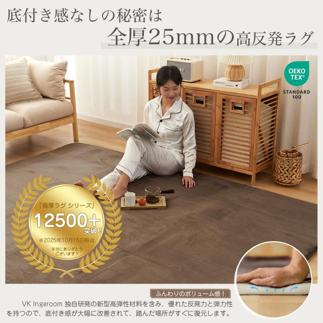 VK Ingeroom カーペット ラグ 極厚25mm 約3畳 厚手 ラグマット 防音 滑り止め付 抗菌 防臭 防ダニ 低ホルム ふわっと手触り高反発 オール_1