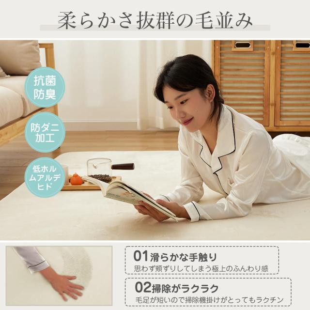 VK Ingeroom カーペット ラグ 極厚25mm 約3畳 厚手 ラグマット 防音