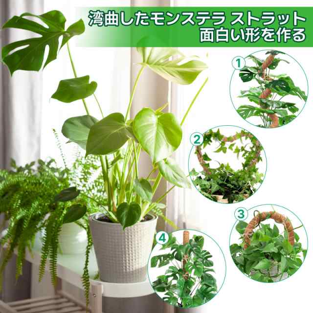 YOUSHY 園芸支柱 114CM 観葉植物モンステラ 支柱 ヘゴ支柱つる性植物 ココスティック支柱 植物サポート 維持水分 養分維持  ココナッツ支の通販はau PAY マーケット - なんでん屋 au PAY マーケット店 | au PAY マーケット－通販サイト