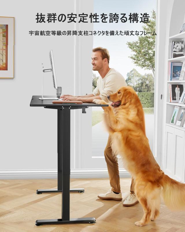 ErGear 電動 オフィスワークテーブル 昇降式デスク スタンディングデスク 幅100cm 高さメモリー機能 上下自動昇降 静音 収納フック付き