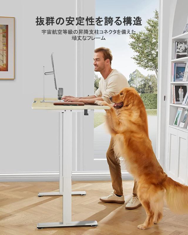 昇降デスク 電動 昇降式デスク スタンディングデスク 幅110cm 耐荷重80k 電動昇降デスク メモリー機能 静音 上下自動昇降 パソコンデ 電動昇降デスク スタンディングデスク 電動 幅120cm 昇降式テーブル 机
