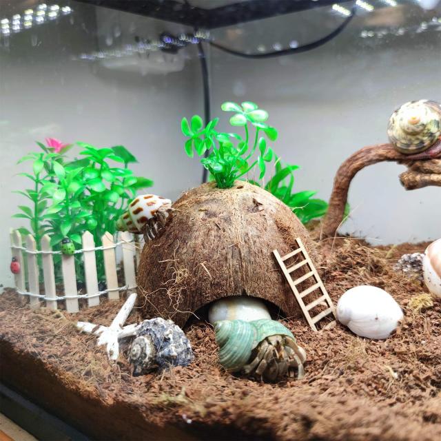 ヤドカリの殻の成長貝殻 15 個 (7 種類) 天然ココナッツの殻小屋 水槽