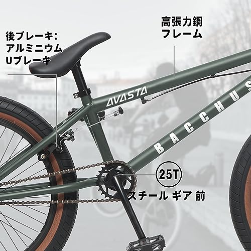 AVASTA Bucchus BMX自転車 20インチフリースタイルBMXバイク