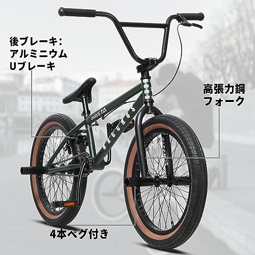 AVASTA BacchusBMX 自転車 20インチ フリースタイルBMXバイク スチール
