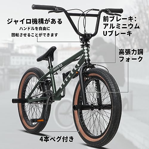 AVASTA BacchusBMX 自転車 20インチ フリースタイルBMXバイク スチール