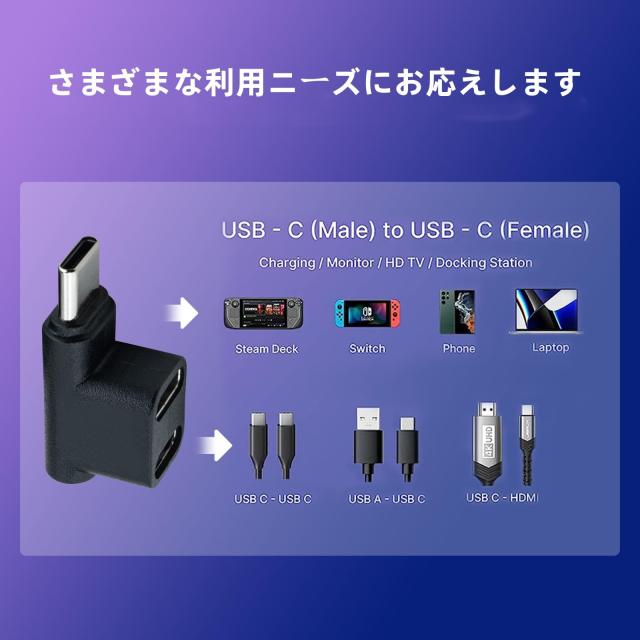 Leehitech Type C 分岐アダプタ 10Gbps 直角 L字型 USB C オス