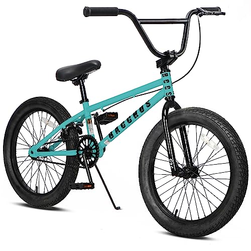 BACCHUS-dyc BMX自転車 bmx子供用練習用高炭素鋼 18インチ Amazon.co.jp: AVASTA Bacchus BMX自転車 18インチ フリー