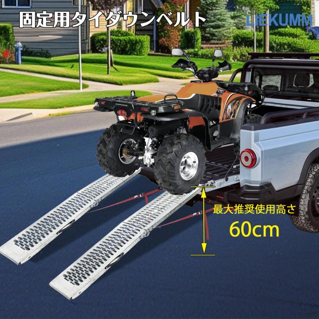 LIEKUMM ラダーレール バイク 長さ170*幅22cm スチール製 耐荷重440kg