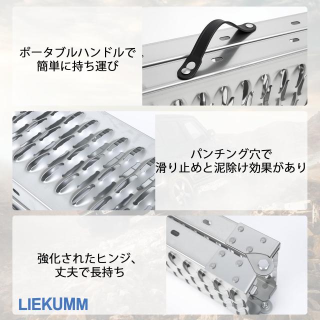 LIEKUMM ラダーレール バイク 長さ170*幅22cm スチール製 耐荷重440kg
