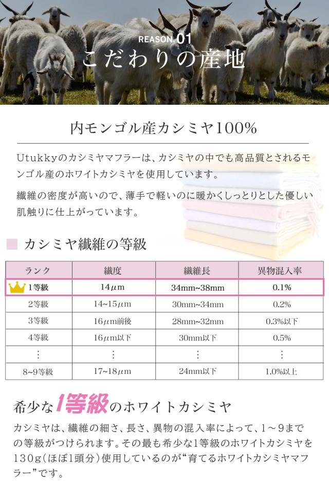 [Utukky] カシミヤ マフラー 極上のカシミヤ100％ レディース【2024秋冬ニューモデル】 無地 大判 厚手 ふわふわ 内モンゴル産高級カシミの通販は