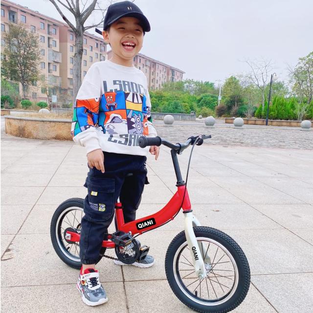 Qiani ペダルなし自転車 子供用自転車 キックバイク 2-in-1 12 14 16インチ 2〜8歳の子供に適し、ペダルとハンドブレーキ付き (16インチ,