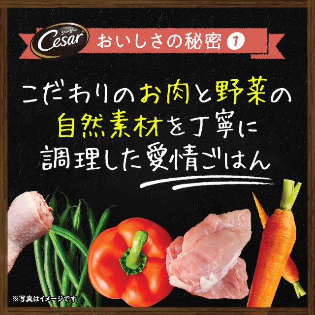シーザー 気取らない原料品処方せん 蒸しささみ・厳選子ヒツジ＆さつまいも・にんじん 60g×4袋×36個(入れもの買い上げ) ドッグフード 無足し加える