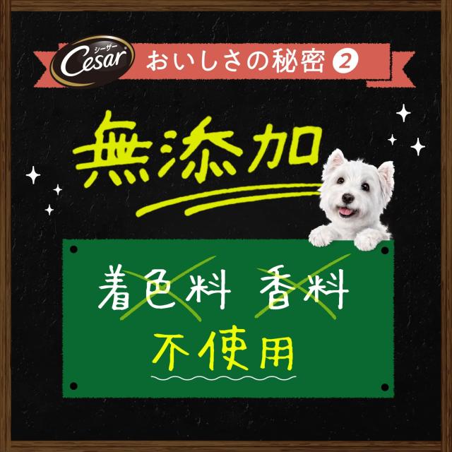 シーザー 気取らない原料品処方せん 蒸しささみ・厳選子ヒツジ＆さつまいも・にんじん 60g×4袋×36個(入れもの買い上げ) ドッグフード 無足し加える