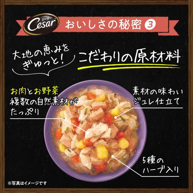 シーザー 気取らない原料品処方せん 蒸しささみ・厳選子ヒツジ＆さつまいも・にんじん 60g×4袋×36個(入れもの買い上げ) ドッグフード 無足し加える