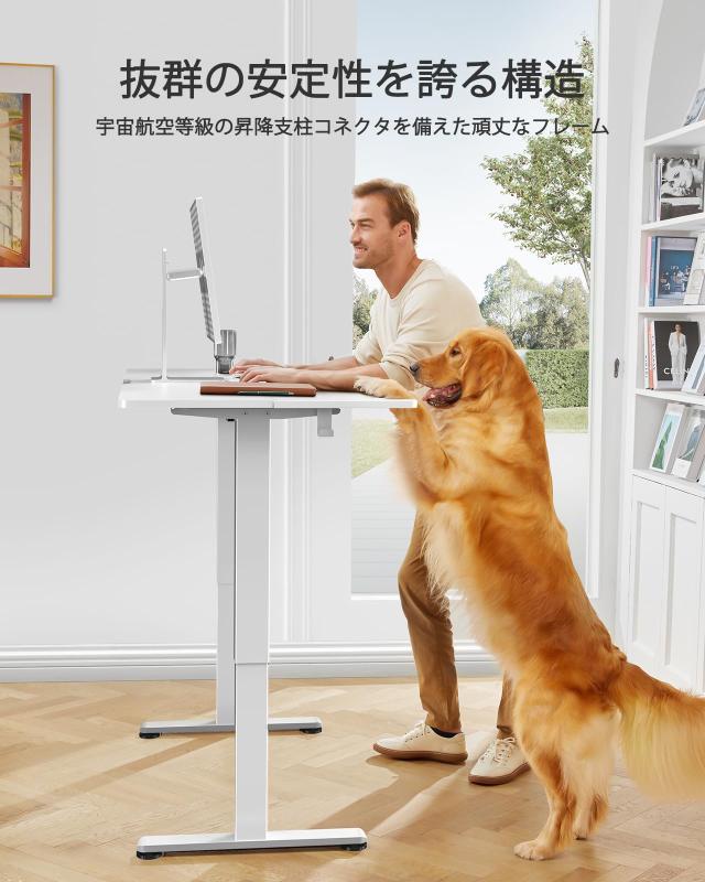 ErGear 電動 オフィスワークテーブル 昇降式デスク スタンディング 