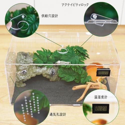 Niesporek 爬虫類 ケージ トカゲ ケージ カナヘビ飼育ケース
