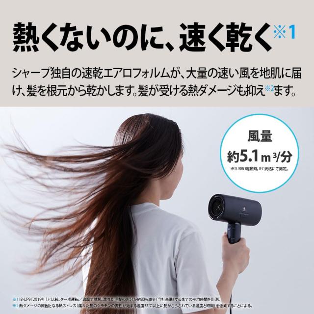 シャープ(SHARP) ドライヤー プラズマクラスター ビューティー IB-P801