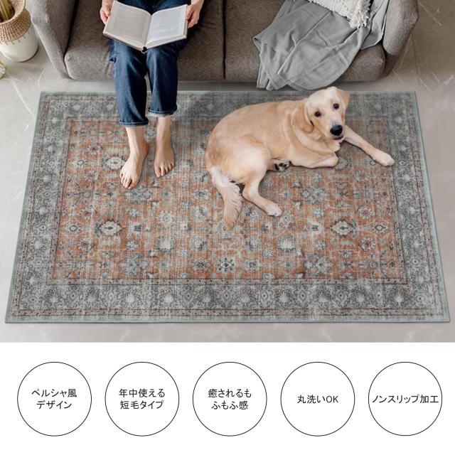 HAOCOO ラグ カーペット 洗える 140×200cm オールシーズン適用 絨毯 ペルシャ風 ラグマット 1.5畳 ふわふわ おしゃれ 滑り止め 低反発_2