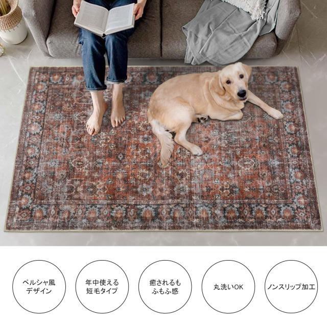 HAOCOO カーペット 洗える 140х200cm ラグ 約1.5畳 オールシ ラグ HAOCOO」の人気商品一覧 | 安い商品を通販サイトから探す - 価格.com