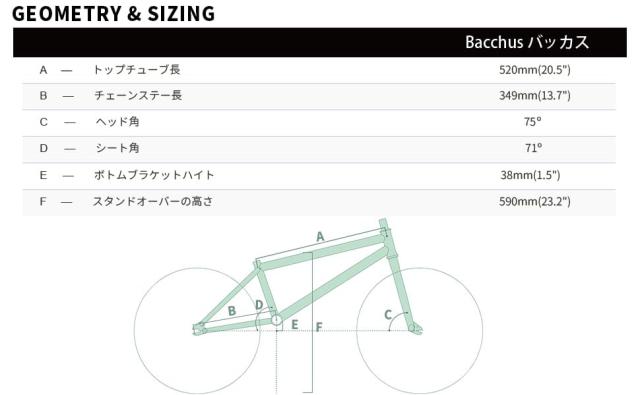 AVASTA Bacchus 子ども用18インチBMX自転車 初心者向き フリー
