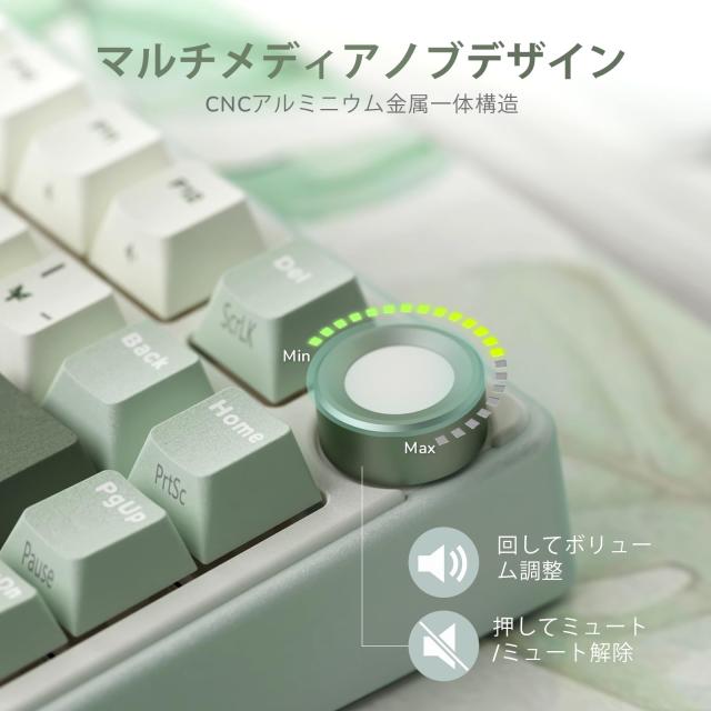 【Amazon.co.jp限定】RK ROYAL KLUDGE R75 メカニカルキーボード 有線｜日本語配列｜ボリュームノブ搭載｜ゲーミングキーボード 75%カス