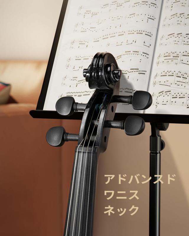 Eastar バイオリン ヴァイオリン 4/4 単板 ソリッド バイオリンセット