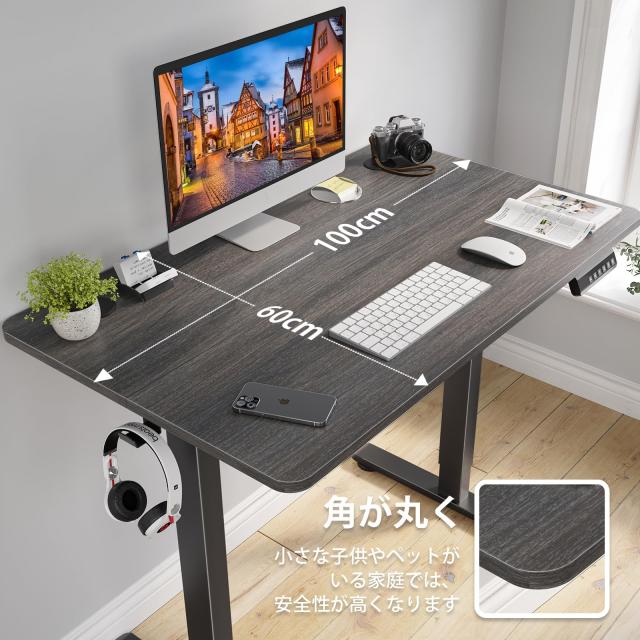 Sunon 昇降デスク 電動 スタンディングデスク 幅100cm 耐荷重80kg 昇降