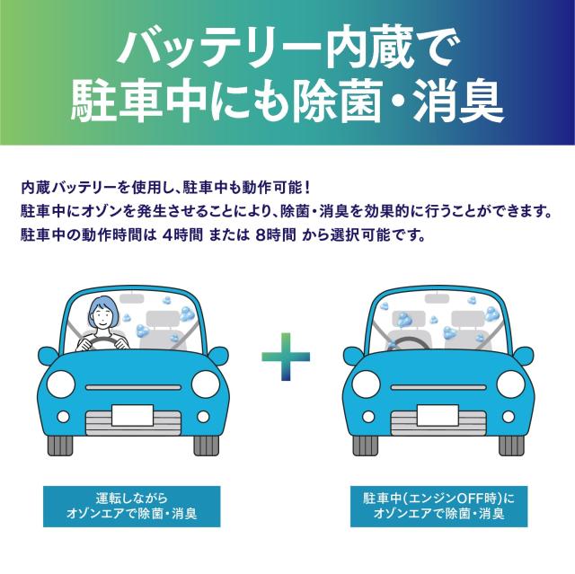 製作依頼はこちらから 現品) チランジア イオナンタ 'フエゴ' クランプボール (No