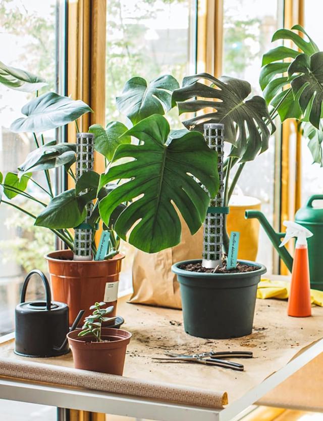 happykau モスポール支柱 4本セット連結可 観葉植物 園芸支柱 観葉植物 