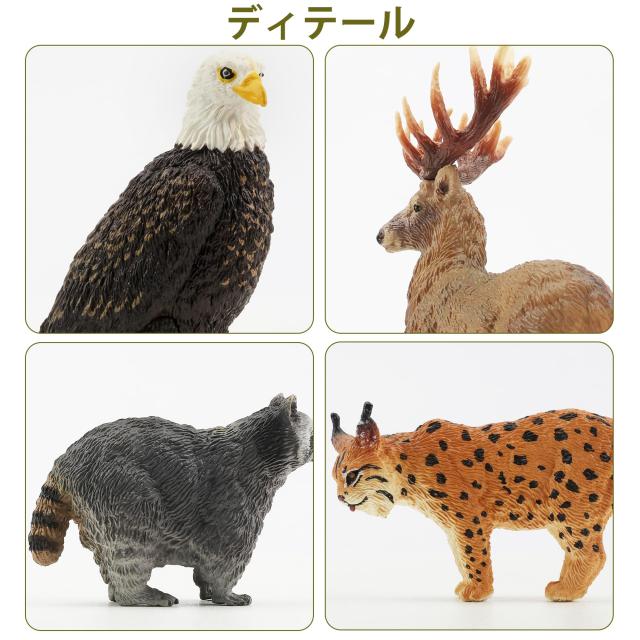 TOYMANY 12PCS北アメリカ 森の動物フィギュア 野生動物