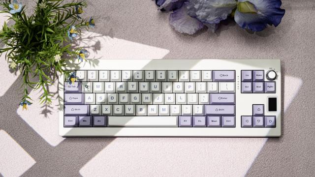 【新登場】EPOMAKER Shadow-X Gasket メカニカルキーボード ホットスワップ対応 2.4ghz/Bluetooth/USB-C有線ワイヤレスゲーミングキーボの通販は