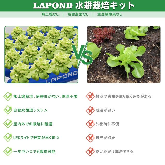 2024高級版】LAPOND水耕栽培システム 4列3層 青い食品級PVC-U管水耕