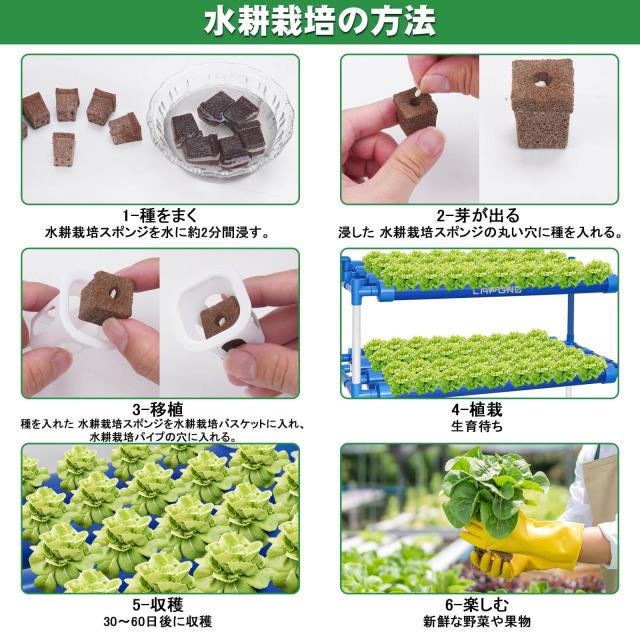 2024高級版】LAPOND水耕栽培システム 4列3層 青い食品級PVC-U管水耕 