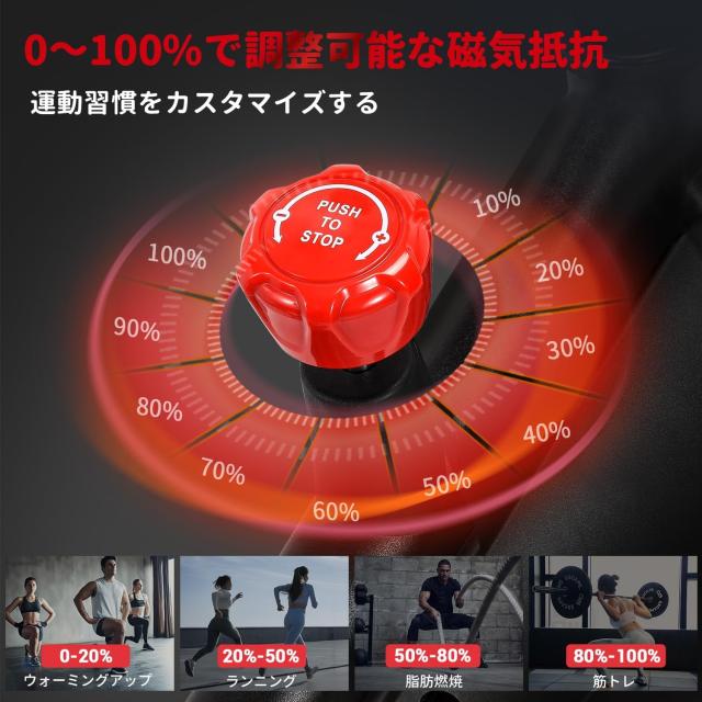 2024 NEW】DMASUN エアロバイク 家庭用 静音スピンバイク フィットネス