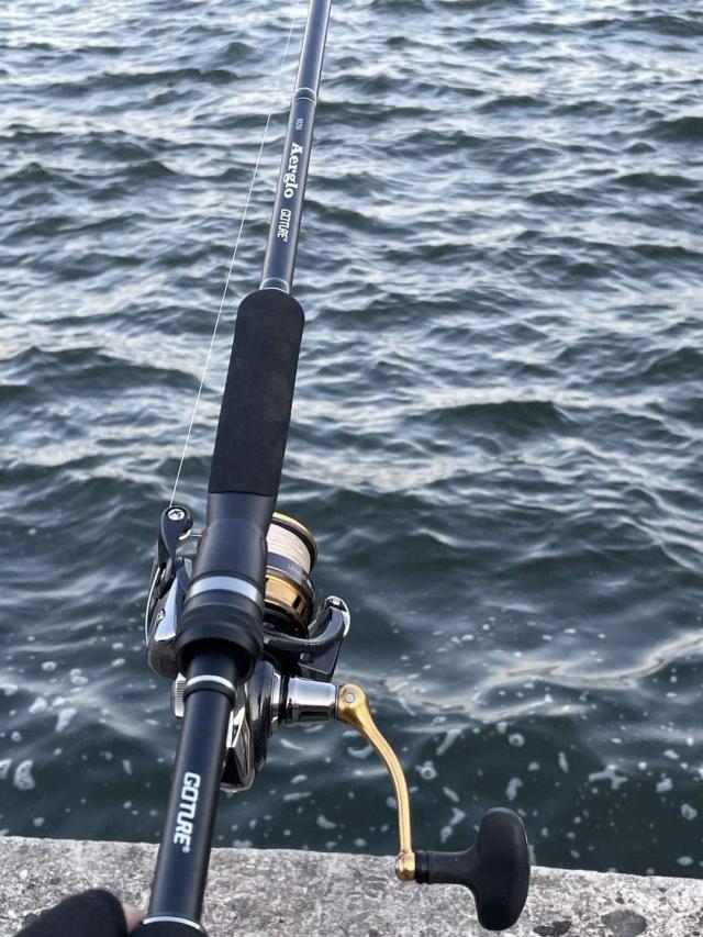 Goture スピニングロッド Aerglo-N/962MS/M/Fuji製ガイド 2.86M ショアジギング 9ft 釣り竿 釣竿 カーボン 投げ竿 超軽量 携帯型 エギン