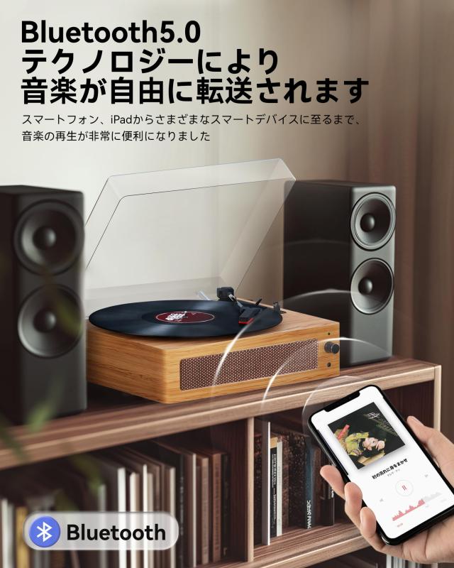 Hoshikou Denpa レコードプレーヤー 内蔵スピーカー付きの復古蓄音機