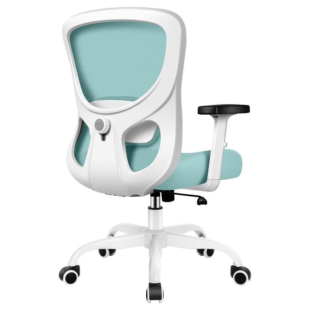 Razzor デスクチェア 人間工学 オフィスチェア 疲れない 勉強椅子 調節できるランバーサポート 腰に良い 360°回転 耐荷重優秀 家庭用 事