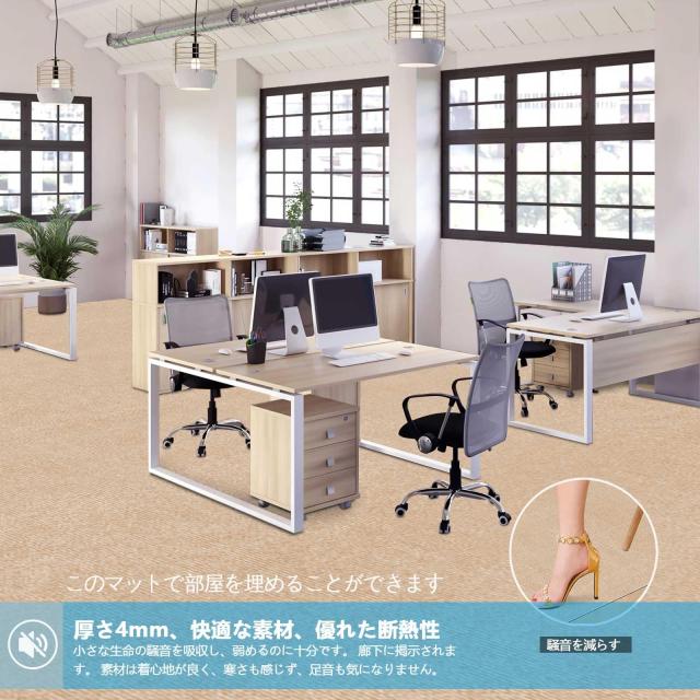 【Amazon 限定ブランド】廊下敷き カーペットラグ ラグマット 台所マット ロング600×80cm HAODEMI ペット 絨毯 フローリング 滑り止めマ_2