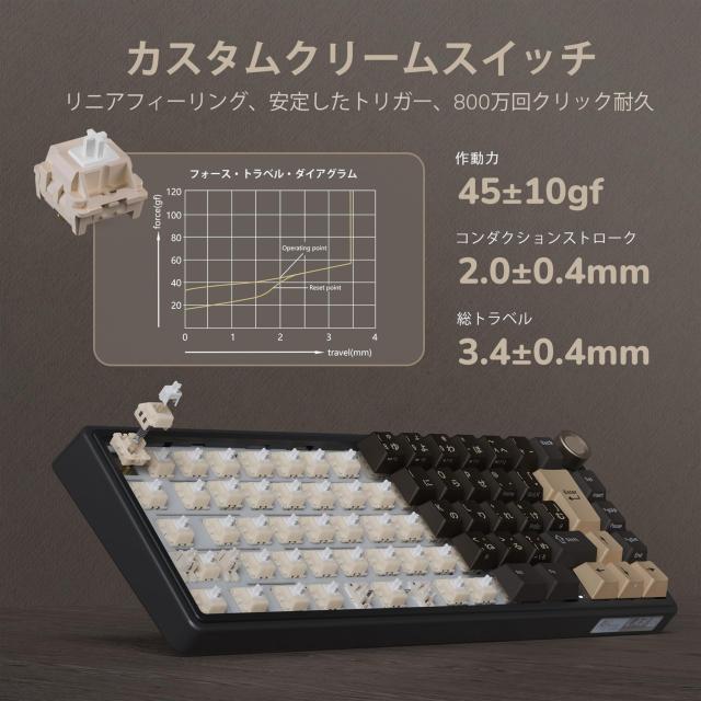 RK ROYAL KLUDGE R65 ゲーミングキーボード 有線 日本語配列
