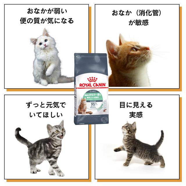 ロイヤルカナン 猫 ダイジェスティブ ケア （ 健康 な おなか 便 を